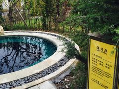 -大连金石滩绿发温泉假日酒店