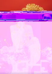 -雅云婚纱摄影工作室旗舰店