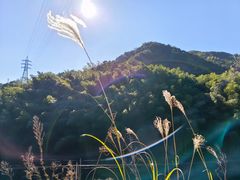 -四明山国家森林公园