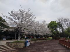 -玉山公园