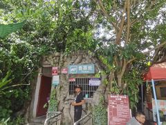 -瑞丽独树成林风景区