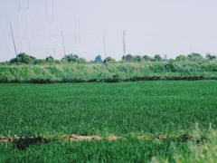 -瑶湖郊野森林公园