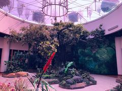 -陕西自然博物馆