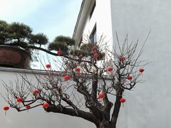 -龙华素斋(龙华路店)