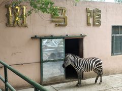 -青藏高原野生动物园