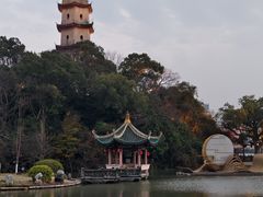 -江心屿景区