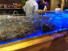 -芭菲盛宴·环球美食(锦城万达广场店)