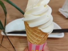 打卡赠脆皮冰激凌-苏小柳点心·手作小笼包(鸿寿坊分院)