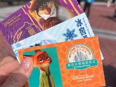 -上海迪士尼度假区