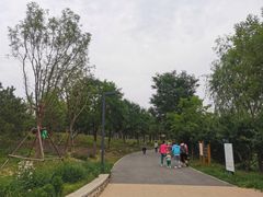 -东郊湿地公园
