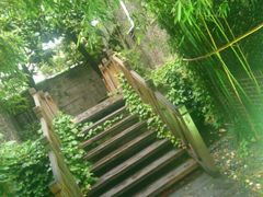 android_upload_pic-名汇粤菜馆(黄兴路店)