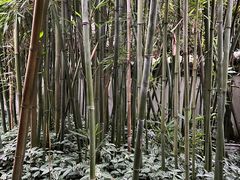 -成都杜甫草堂博物馆