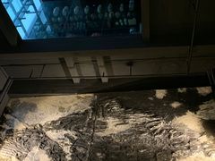 -元生咖啡(陶溪川店)