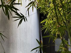 -南京市民俗博物馆(甘熙故居)