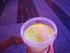 -德禄酸奶(莫家街店)