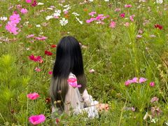 -西岭雪山大飞水景区