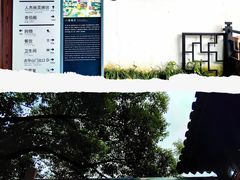 -惠山古镇·寄畅园