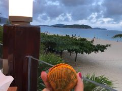 -渔家火锅·海鲜自助餐·演艺(亚龙湾天域酒店)