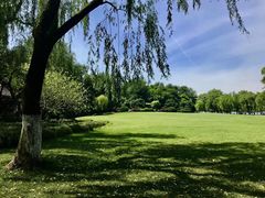 -柳浪闻莺公园