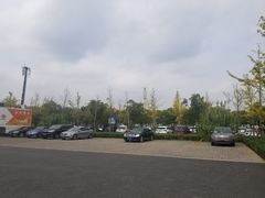 -上海浦江郊野公园·1号停车场