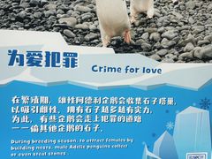 -珠海长隆海洋王国