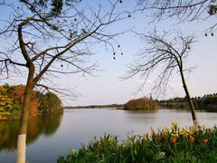 -海珠湖公园