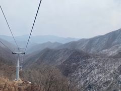 -栾川竹海野生动物园