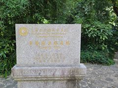 -亭林公园