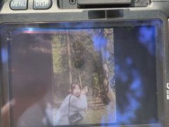 -南宁良凤江国家森林公园