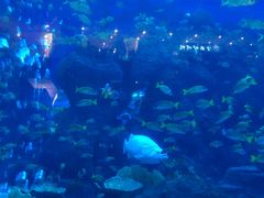 -成都浩海立方海洋公园