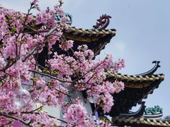 -宝墨园景区
