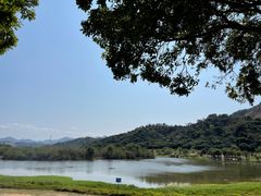 -风云岭森林公园