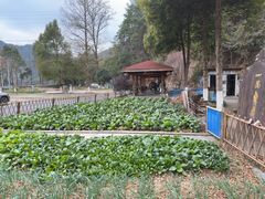 -途中饭店(开化店)