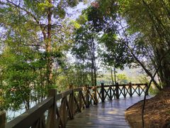 -广州市流溪河国家森林公园