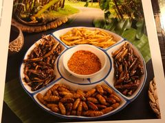 菜单-多哥水傣味餐厅(司马巷店)