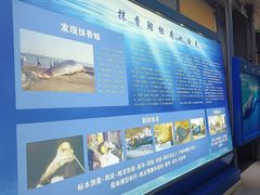 -上海海洋大学鱼文化博物馆(军工路校区)