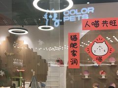 -COLOR PETS 撸猫馆·购猫·猫咖(长风大悦城店)