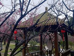 -无锡梅园公园