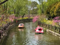 -南汇桃花村