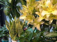 -春暖花开(西溪店)