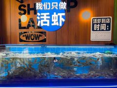 -0048鲜活香辣虾·火锅(铜陵路店)