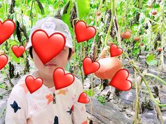 -万源龙顺度假庄园生态观光园