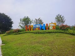 -长洲岛