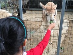 -意大利农场度假村