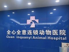-全心全意连锁动物医院·微创中心·内科急重症·心脏专科(丰管路店)