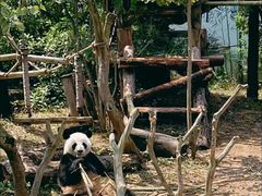 -南宁市动物园