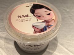 何为酸奶皮子酸奶-大鸭梨烤鸭(望京店)