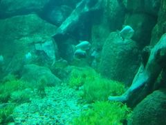 -福州罗源湾海洋世界旅游区