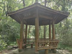 -吴山景区