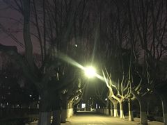 -西安交通大学(雁塔校区)